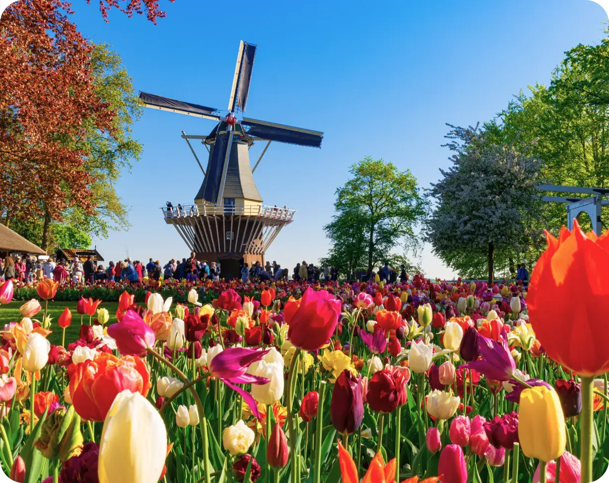 Frühlingstrip nach Amsterdam gewinnen