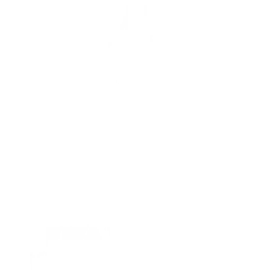 FIFA Women's World Cup 2027