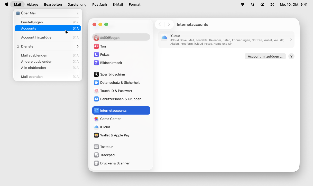 Screenshot MacOS mit Fokus auf Feld Accounts
