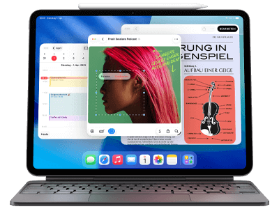 Apple 13