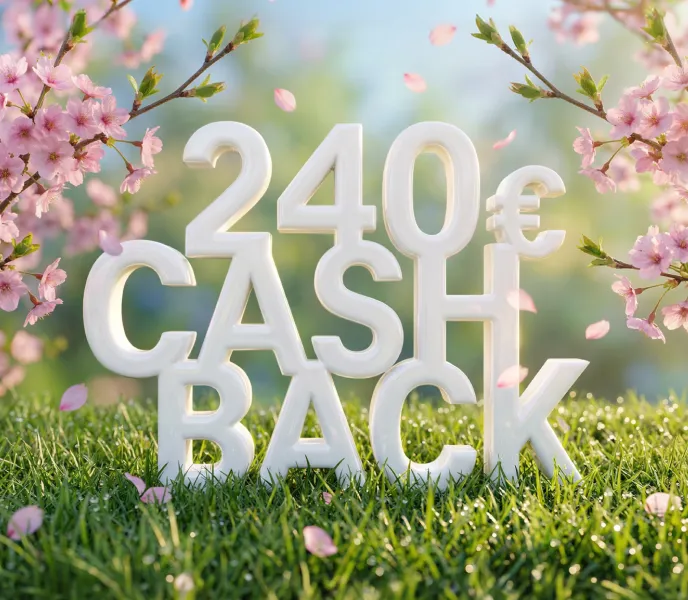 „240 € Cashback“ zwischen Blumen auf einer Wiese.