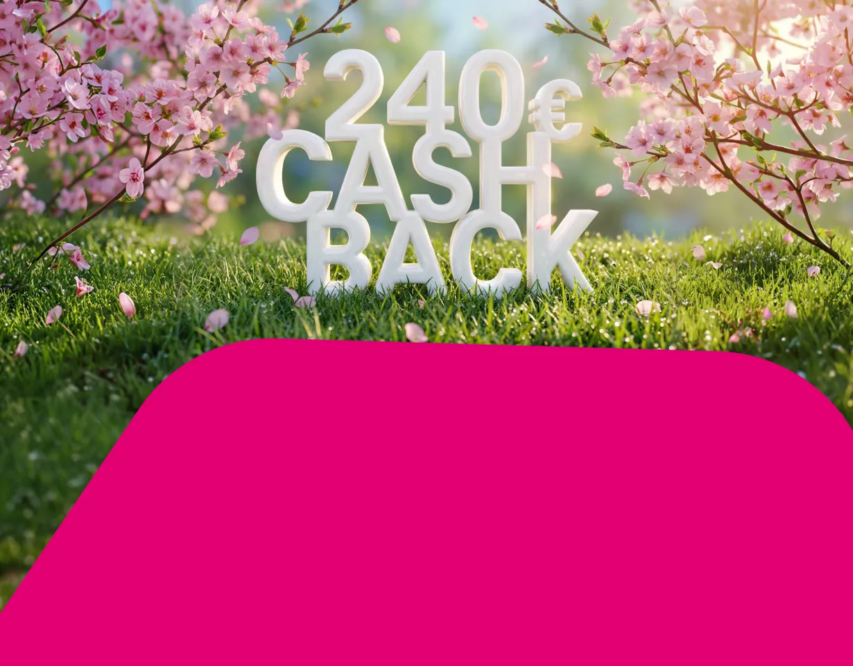 „240 € Cashback“ auf einer Wiese mit Blüten.