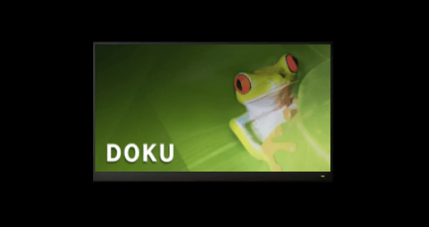 Bild von einem Frosch im Wald