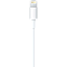 Apple Lightning auf USB Kabel (2m) Weiß 99925253 hinten thumb