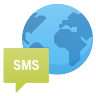 Icon International  SMS 100 