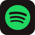 Icon Spotify Premium