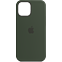 Apple Silikon Case iPhone 12 Pro Max - Zyperngrün 99931344 vorne thumb