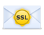 SSL Icon