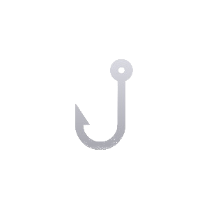 Phishing - Gefahr im Internet