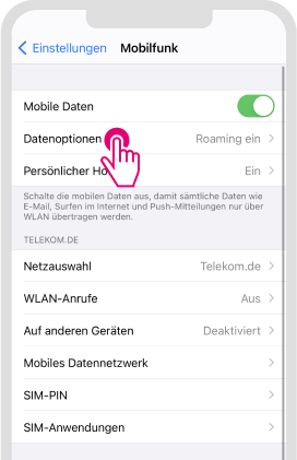 Datenroaming für iOS aktivieren - Schritt 2