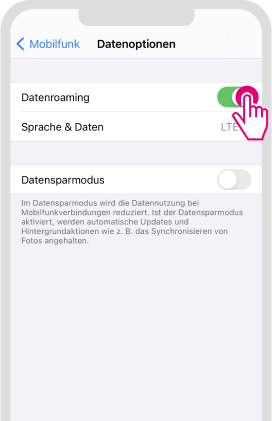 Datenroaming für iOS aktivieren - Schritt 3