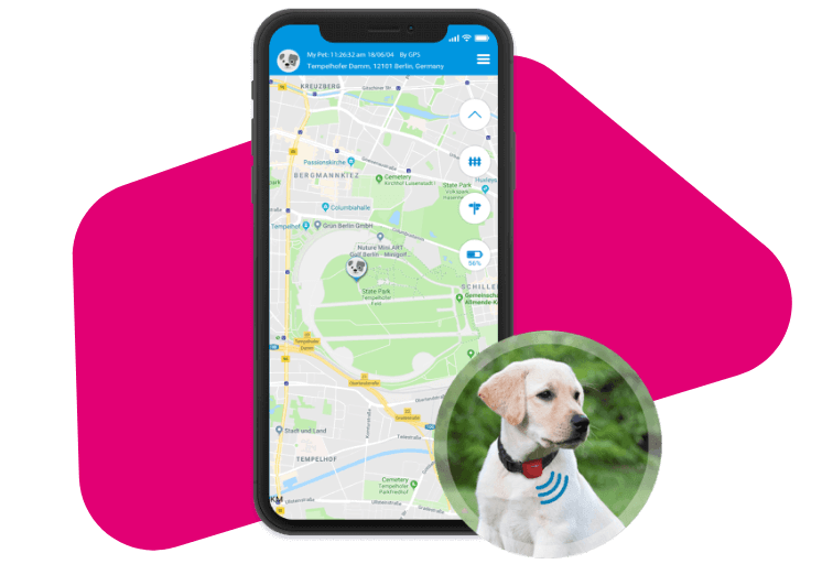 GPS für Hunde: Tracking in Echtzeit