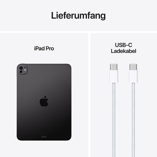 Apple 11