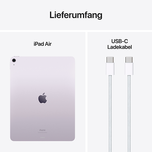 Apple 13