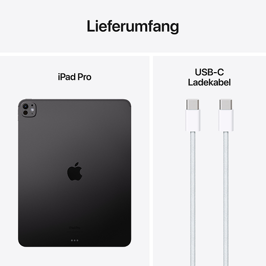Apple 13