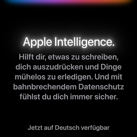 Apple 13