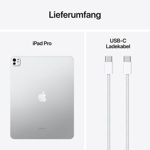 Apple 13