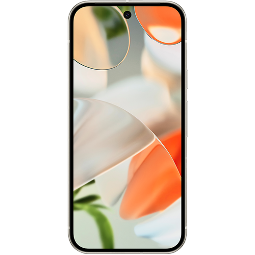 Google Pixel 9 Porcelain - Vorne
