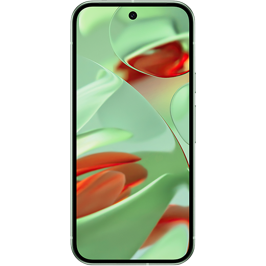 Google Pixel 9 Wintergreen - Vorne