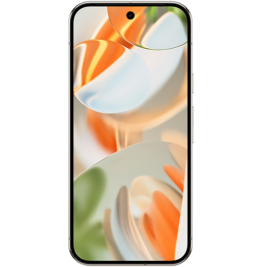 Google Pixel 9 Pro Porcelain - Vorne