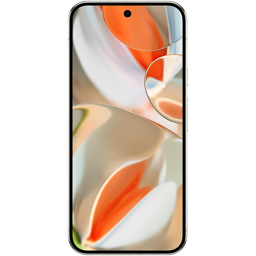 Google Pixel 9 Pro XL Porcelain - Vorne