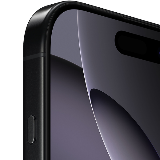 Apple iPhone 16 Pro Max Titan Schwarz - Gallerie 2