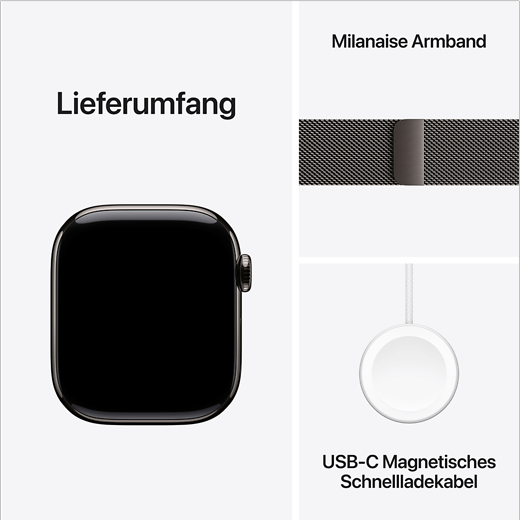 Apple Watch Series 10 Titan Milanaise Armband Schiefer/Schiefer - Gallerie 5