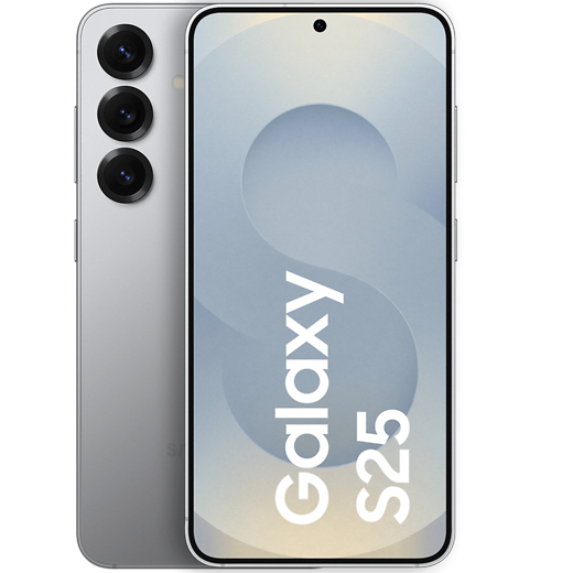 Samsung Galaxy S25 Silver Shadow - Vorne/Hinten