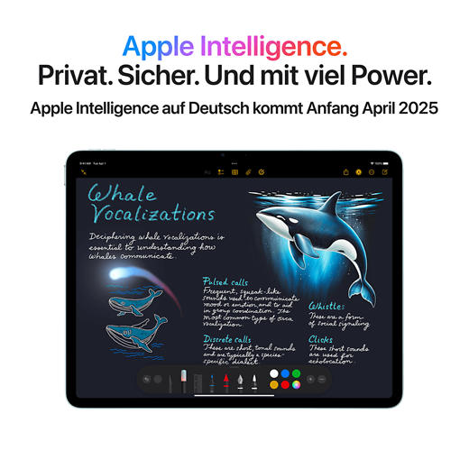 Apple iPad Air 13