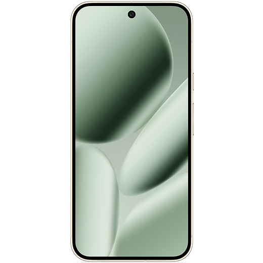 Google Pixel 10 Pro XL Jade - Vorne