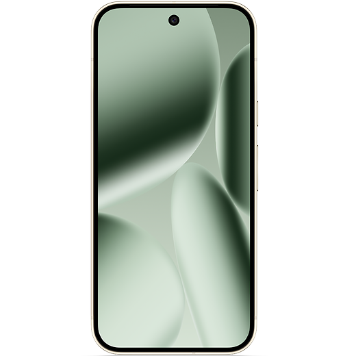 Google Pixel 10 Pro Jade - Vorne