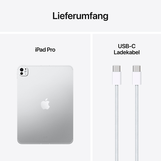 Apple 11