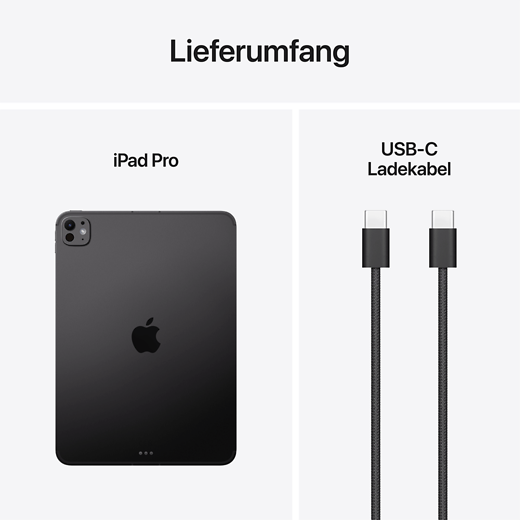 Apple 11