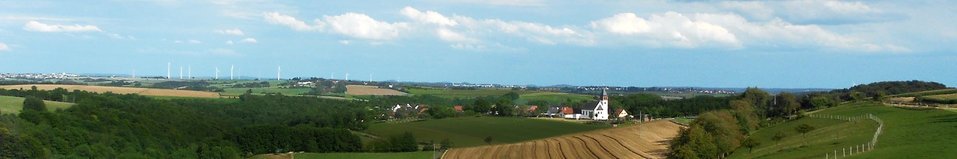 Suedwestpfalz